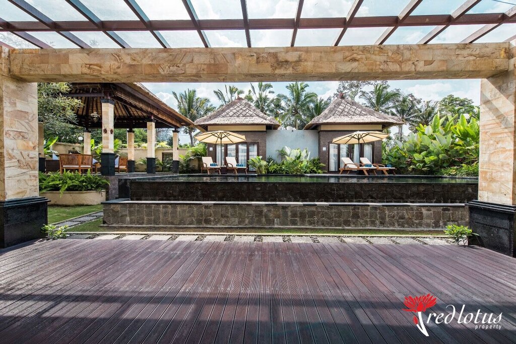 Photo of Others in Taro