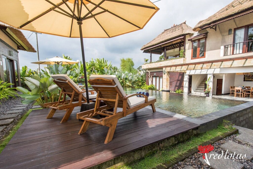 Photo of Others in Taro