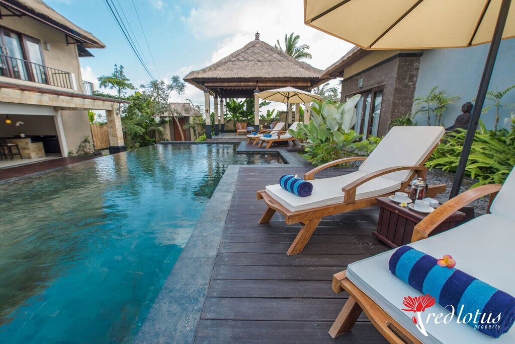 Photo of Others in Taro