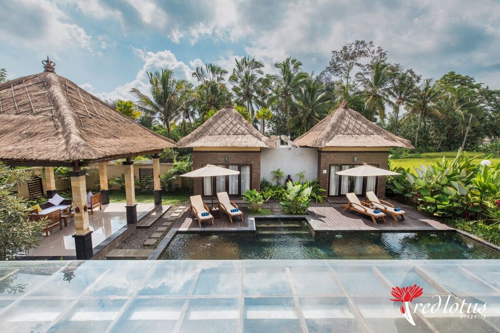 Photo of Others in Taro