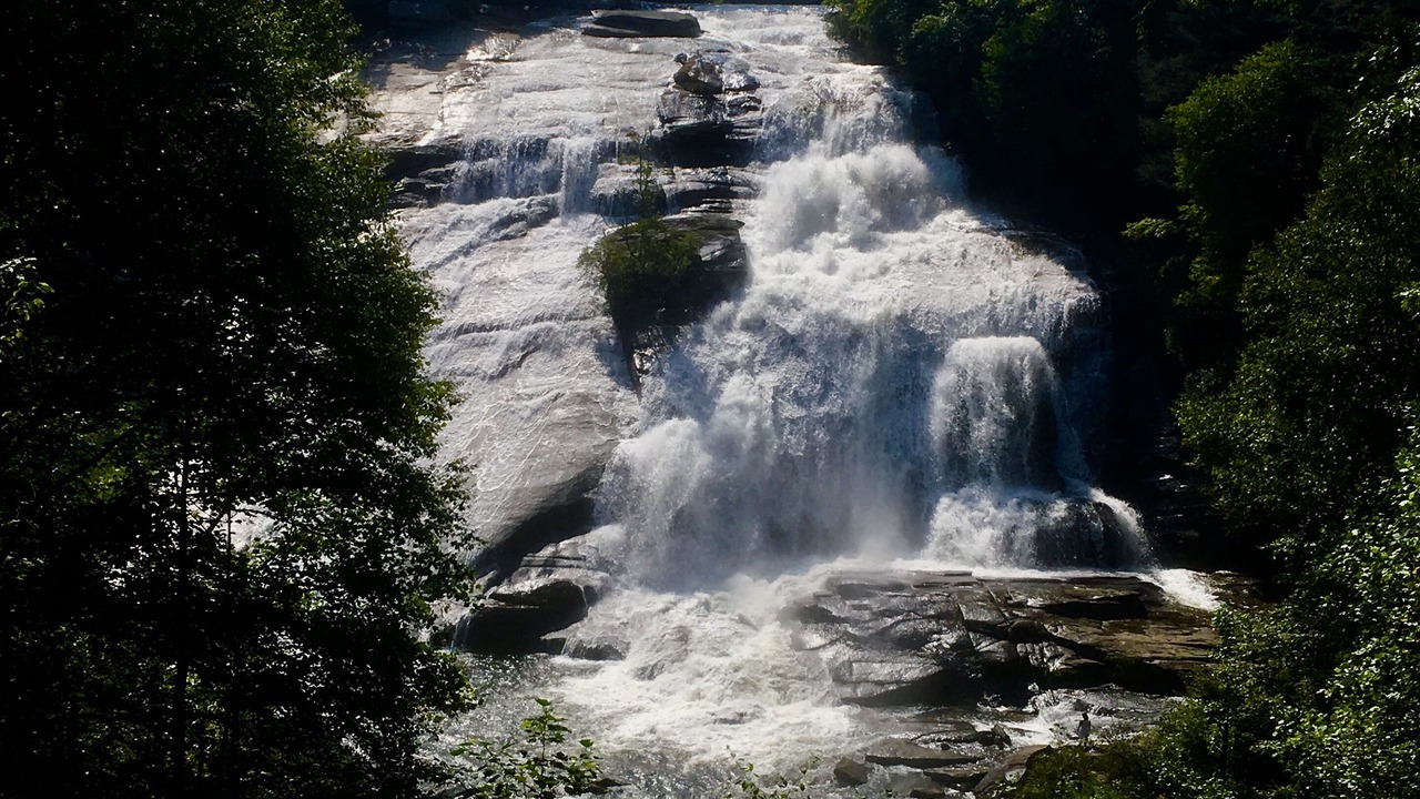Photo of Others in Hendersonville