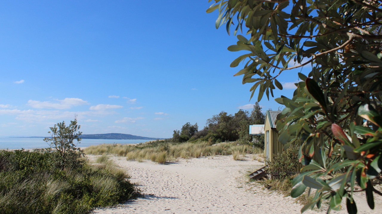 Photo of Others in McCrae