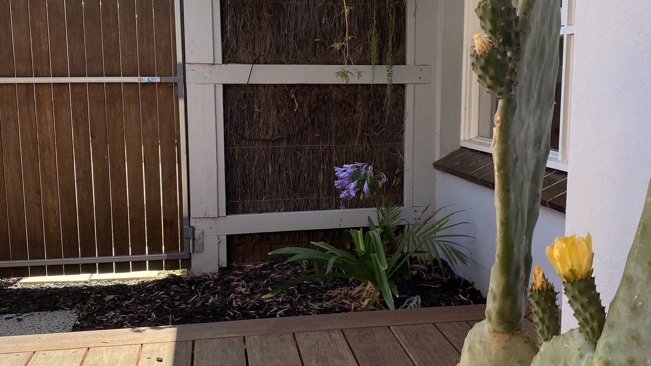 Photo of Outdoor in McCrae