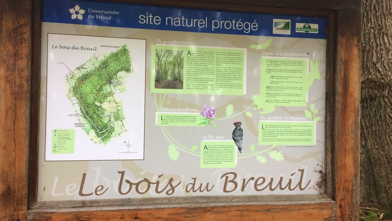 Photo of Outdoor in Gonneville-sur-Honfleur