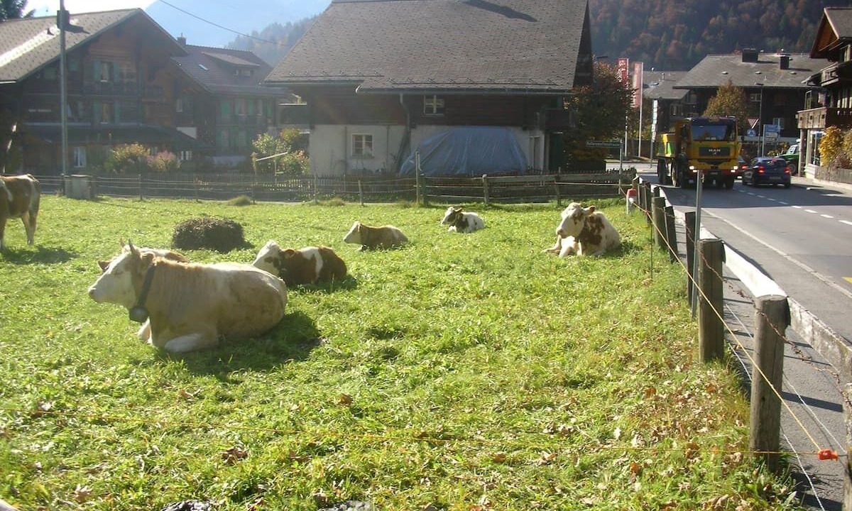 Photo of Others in Zweisimmen Nr Gstaad