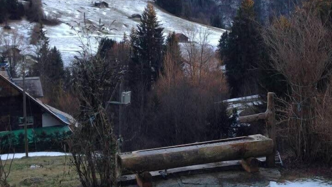 Photo of Others in Rougemont