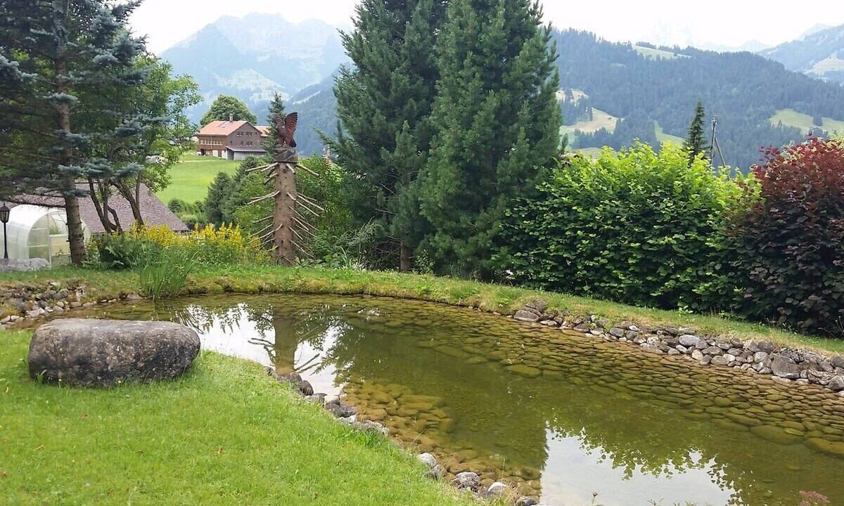 Photo of Outdoor in Saanen