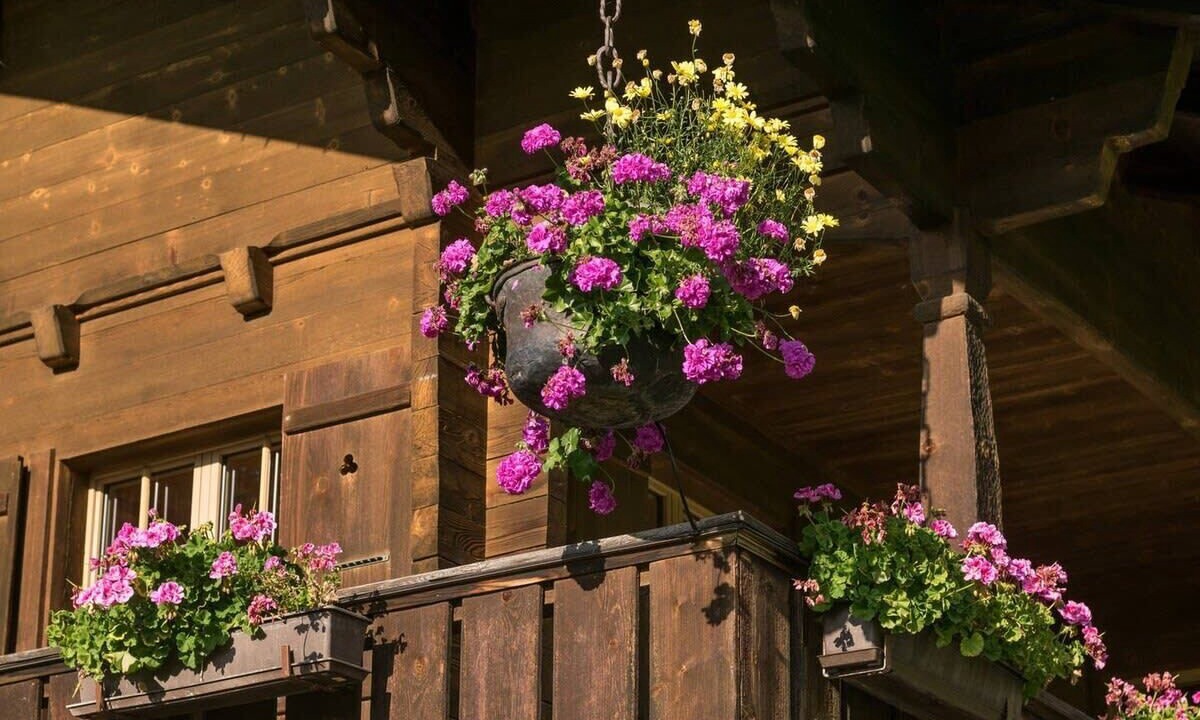 Photo of Others in Saanen