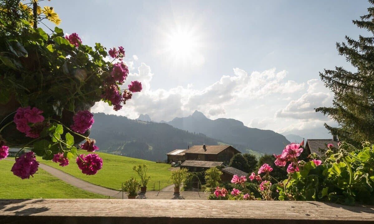 Photo of Patio Balcony in Saanen