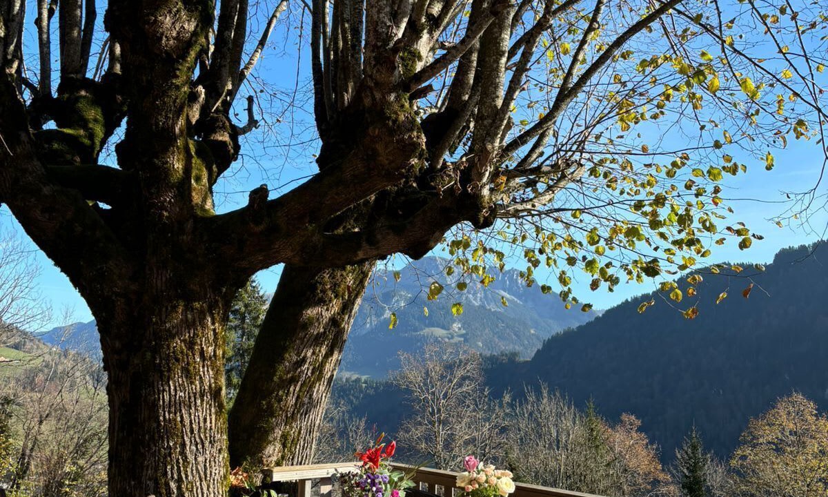 Photo of Others in Rossiniere