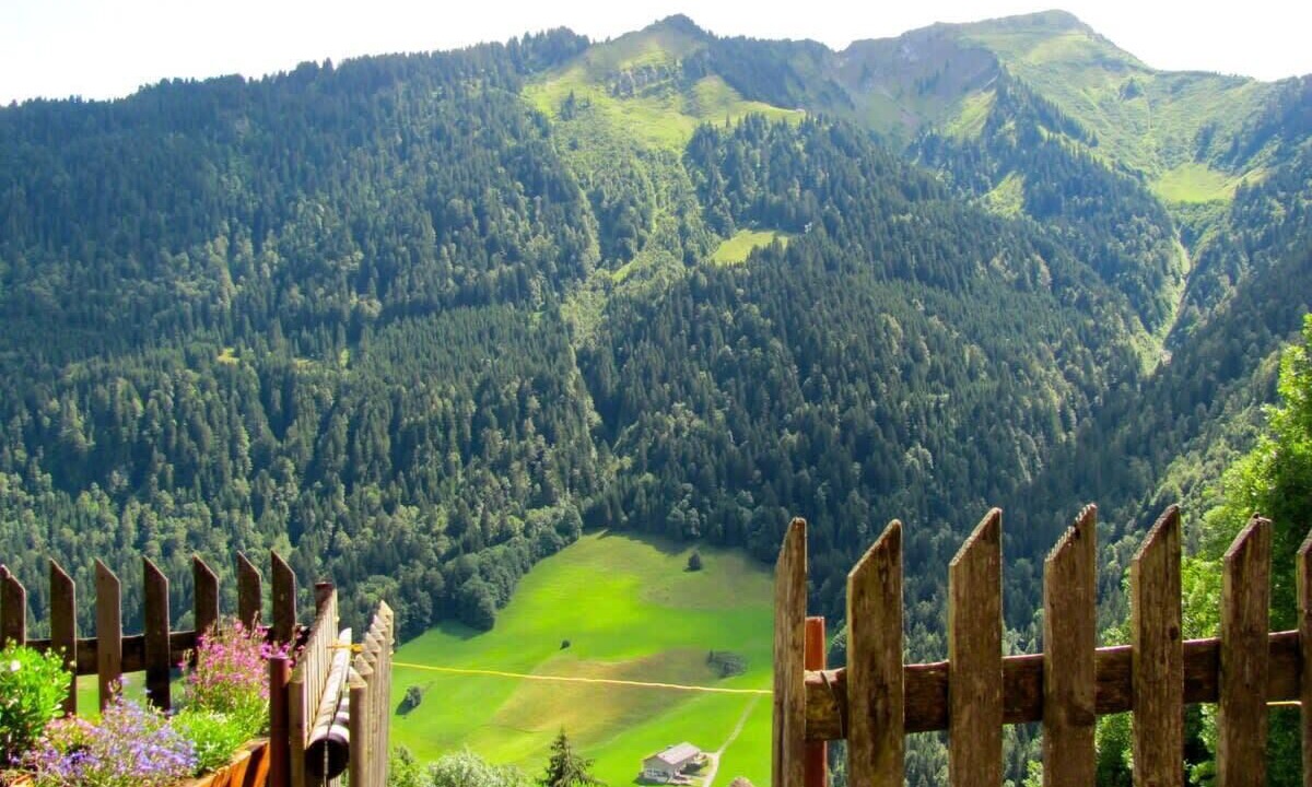 Photo of Others in Rossiniere