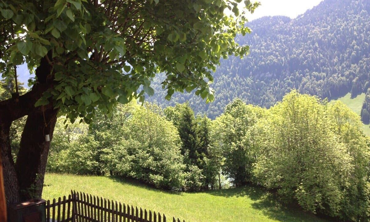 Photo of Others in Rossiniere