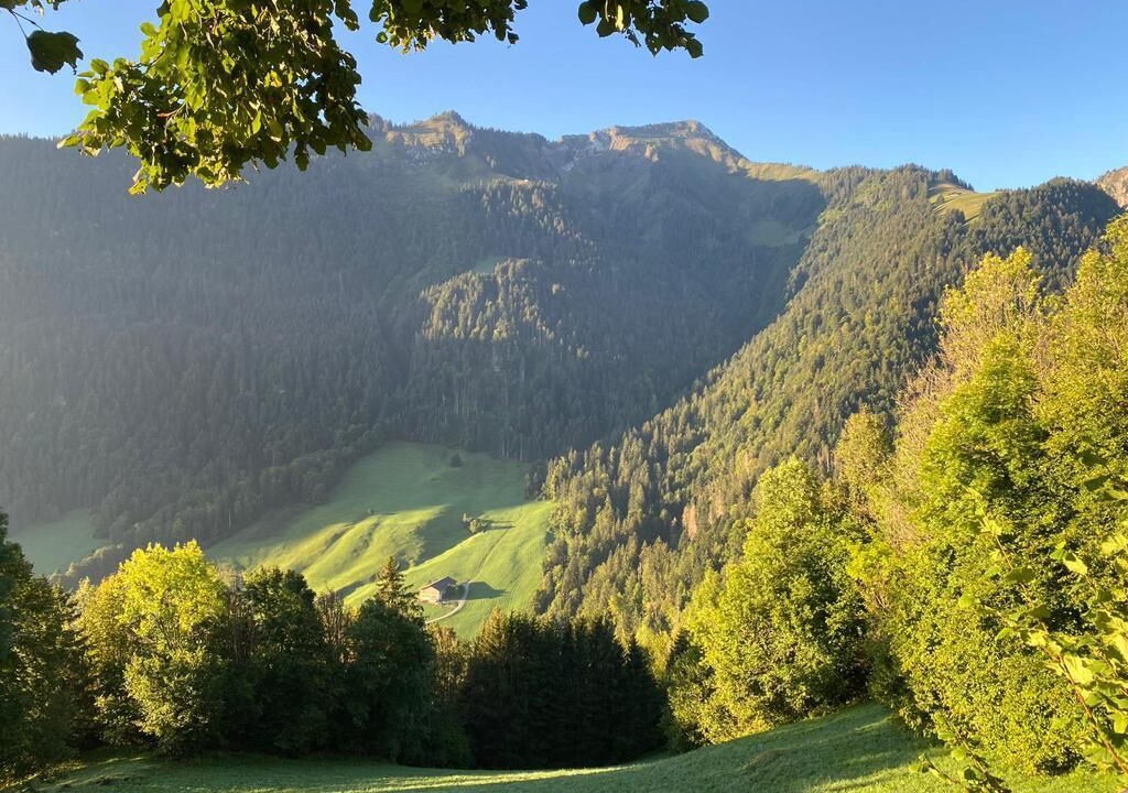 Photo of Others in Rossiniere