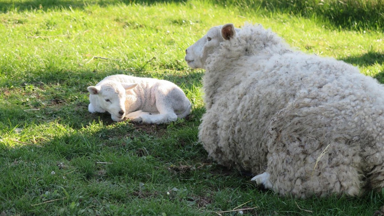 Photo of Outdoor in Vodskov