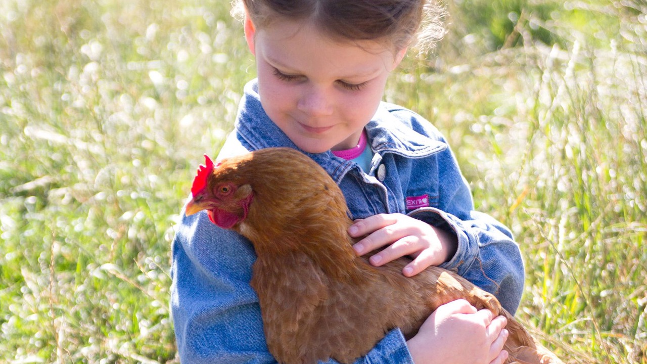 Photo of Others in Vodskov