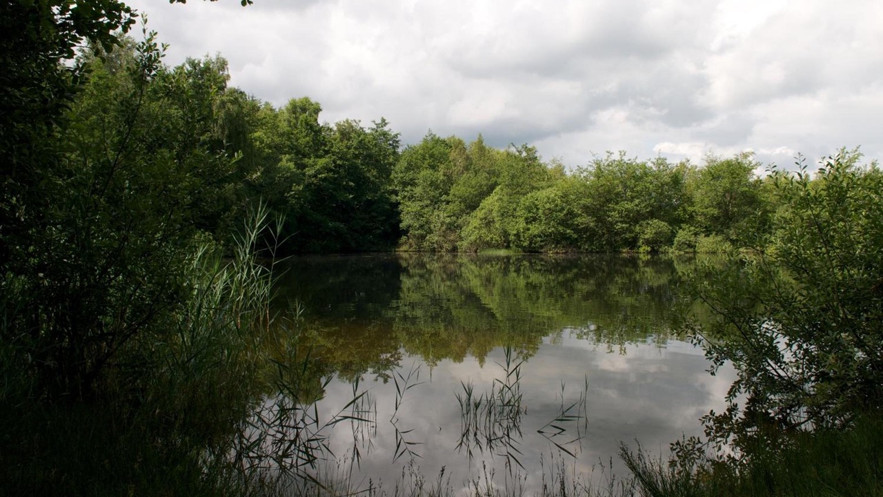 Photo of Outdoor in Vodskov