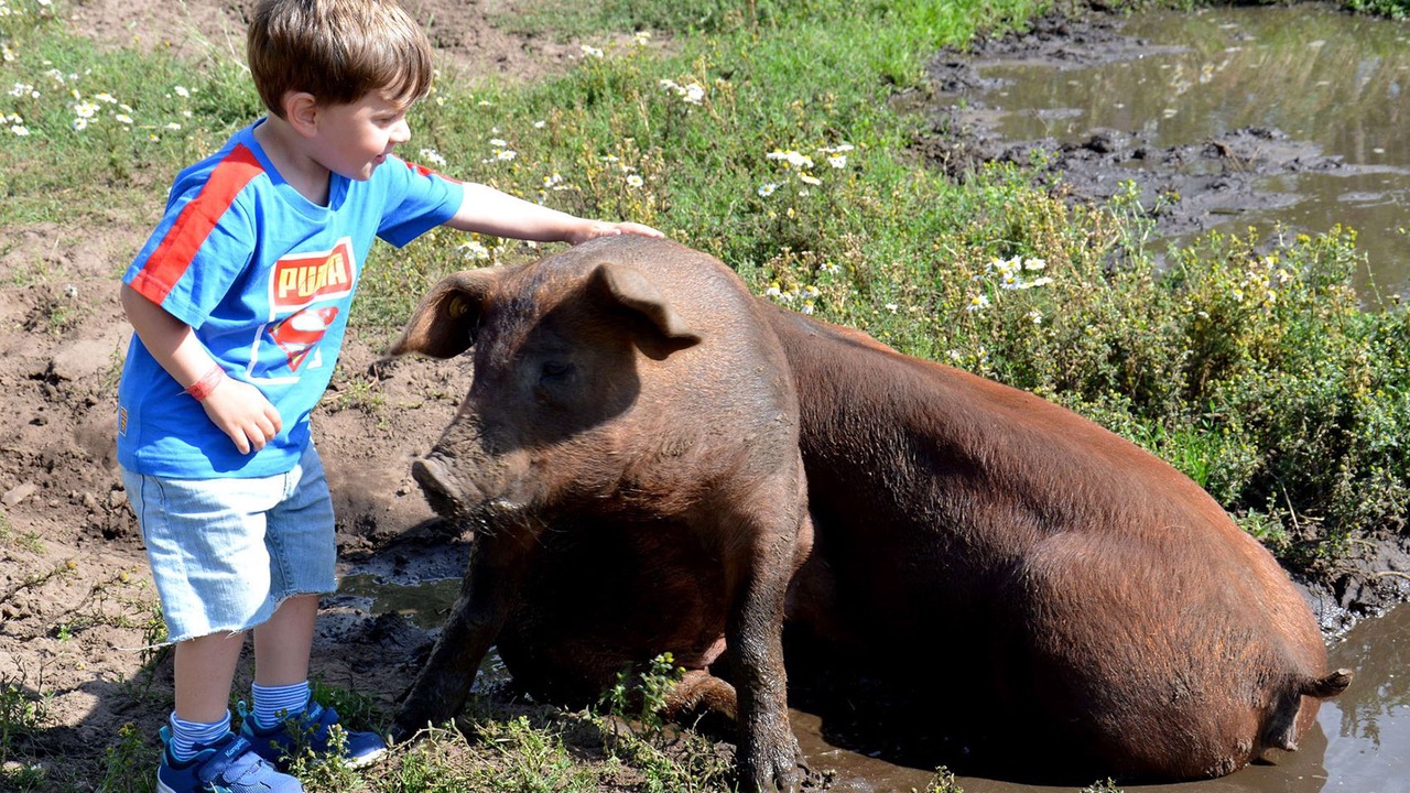 Photo of Outdoor in Vodskov