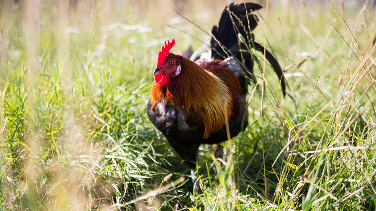 Photo of Outdoor in Vodskov