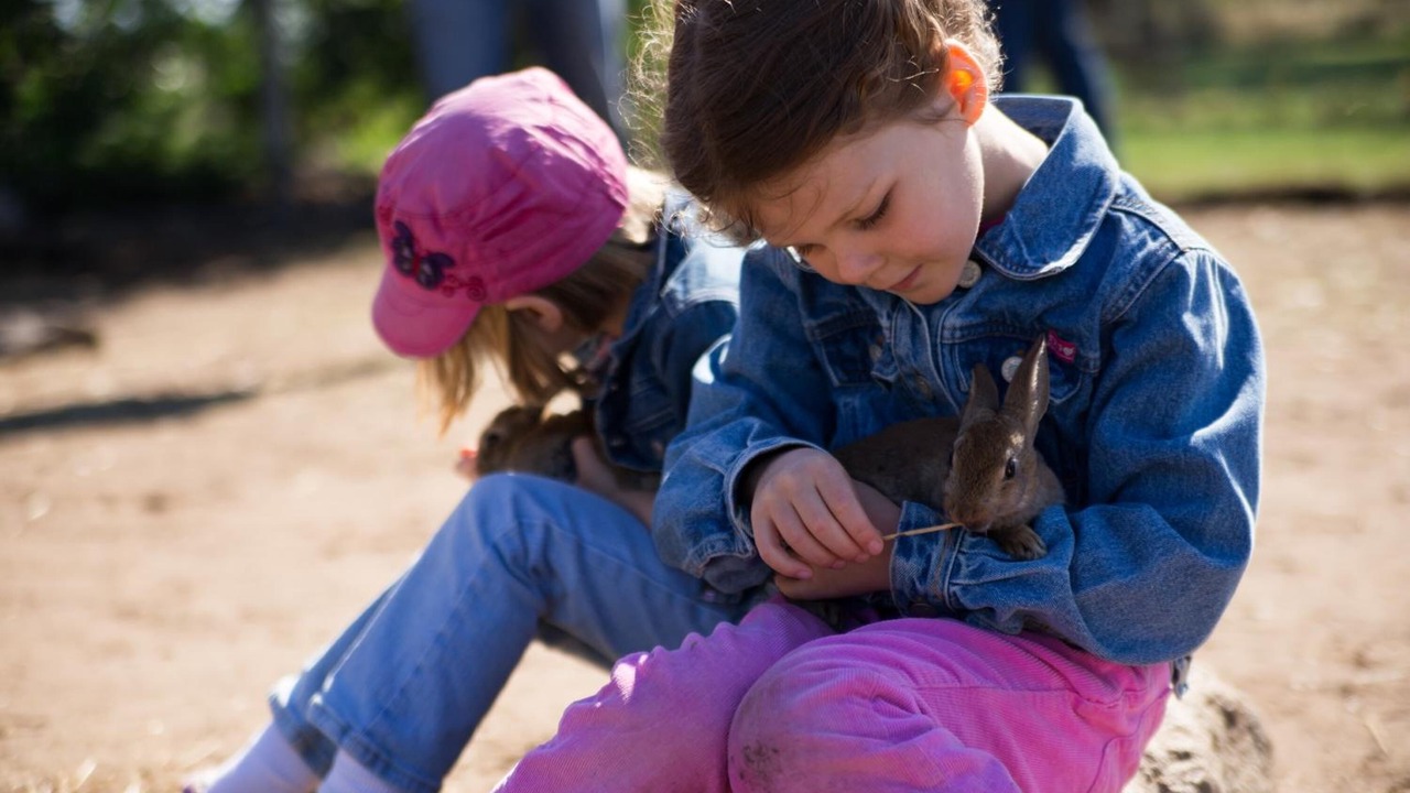 Photo of Others in Vodskov