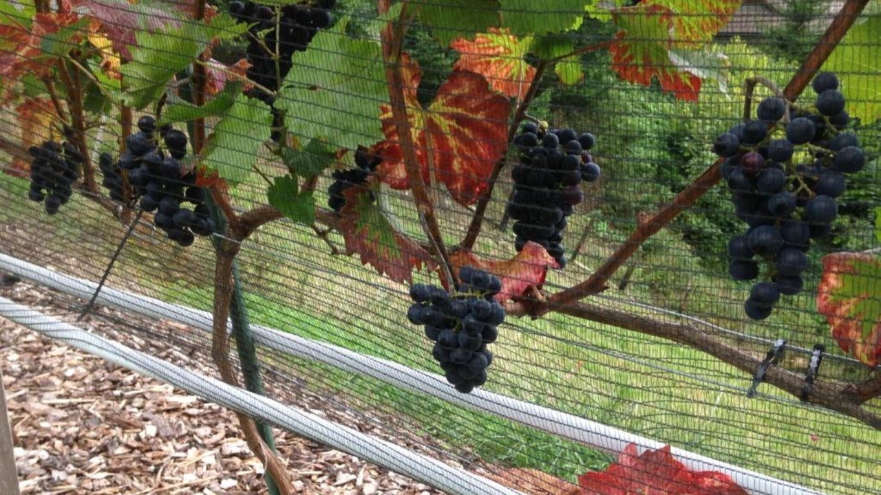 Photo of Outdoor in Wolhusen