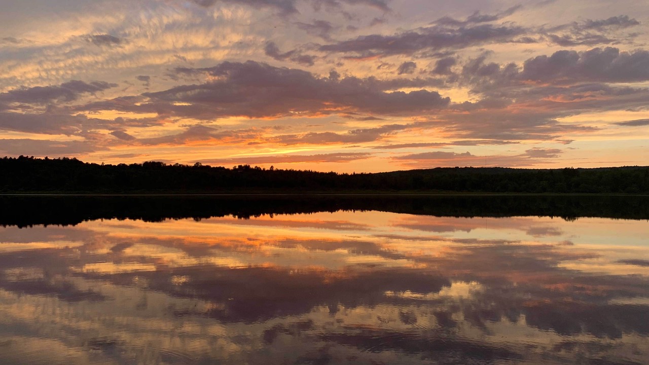Photo of Outdoor in Harmony