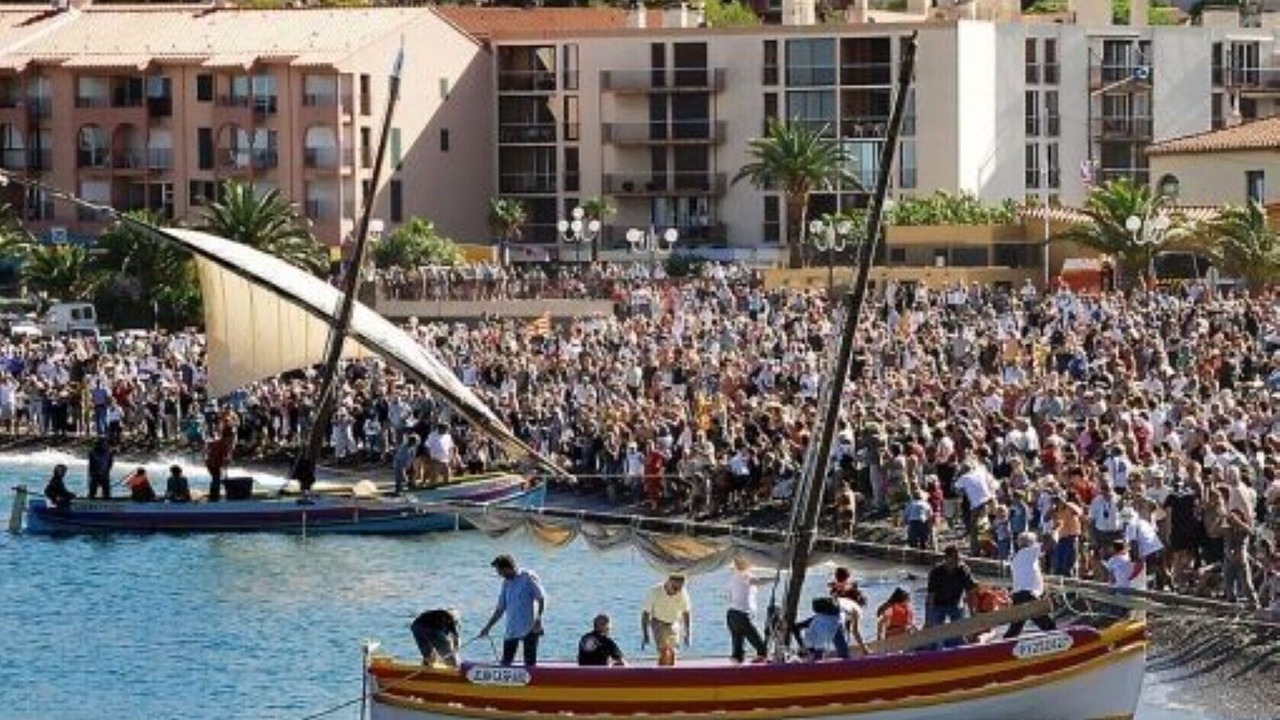 Photo of Others in Banyuls-sur-Mer
