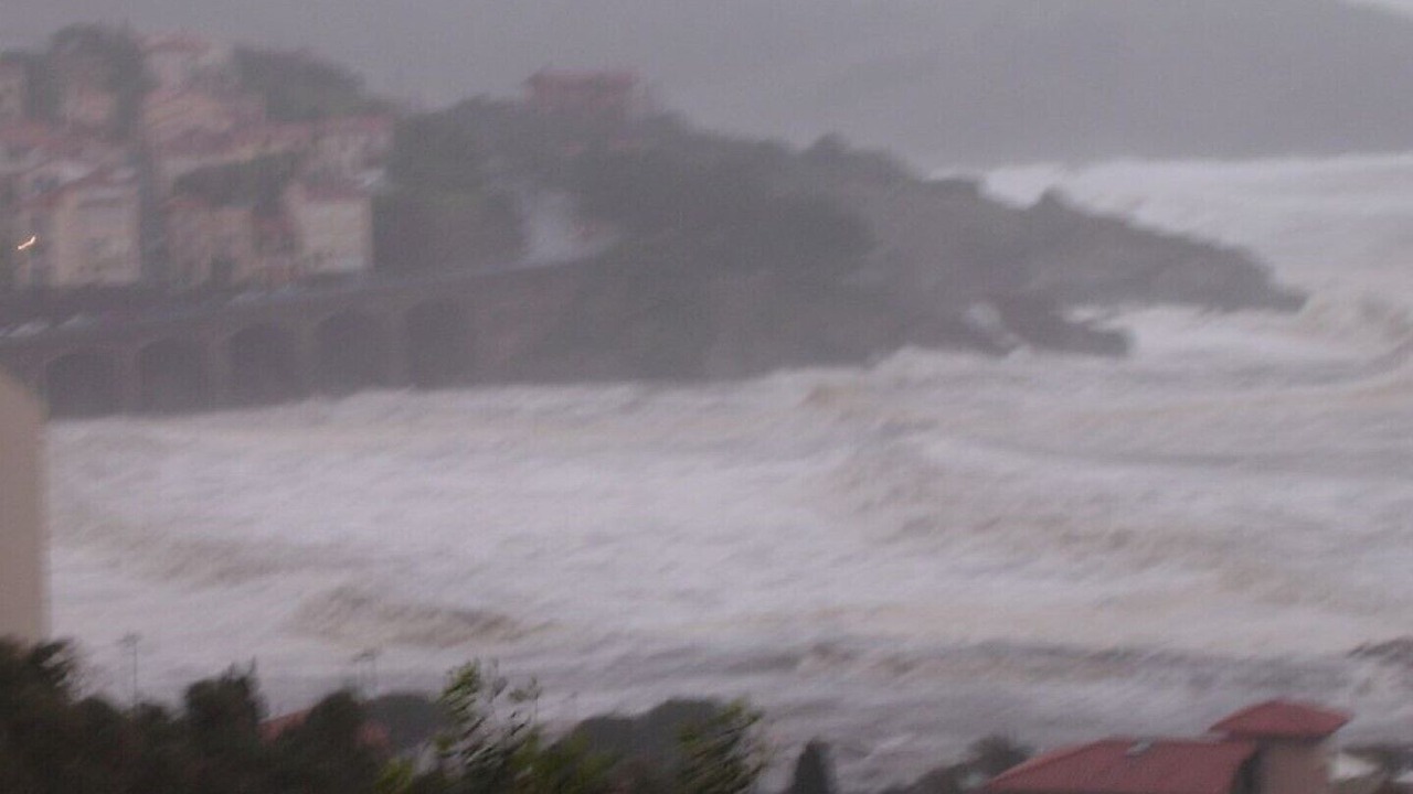 Photo of Others in Banyuls-sur-Mer