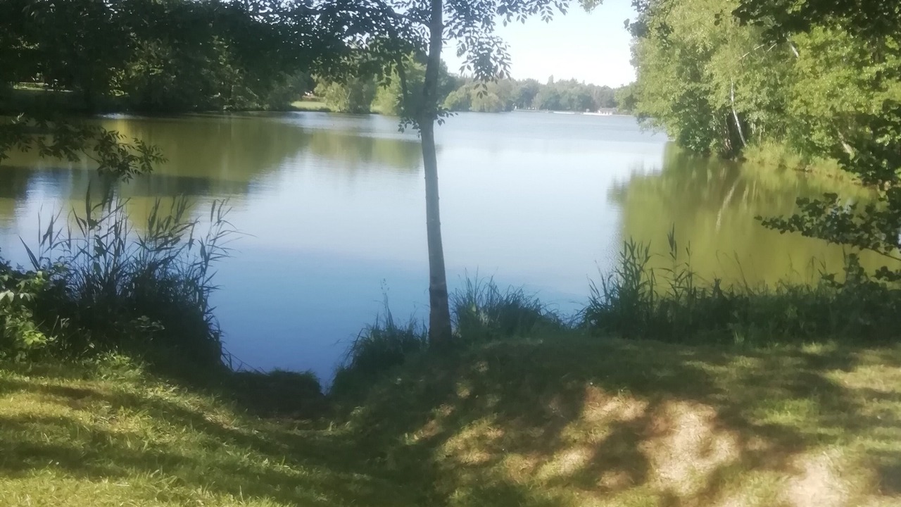 Photo of Outdoor in Savigny-sur-Clairis