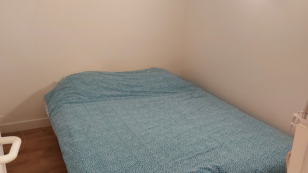 Photo of Bedroom in Savigny-sur-Clairis