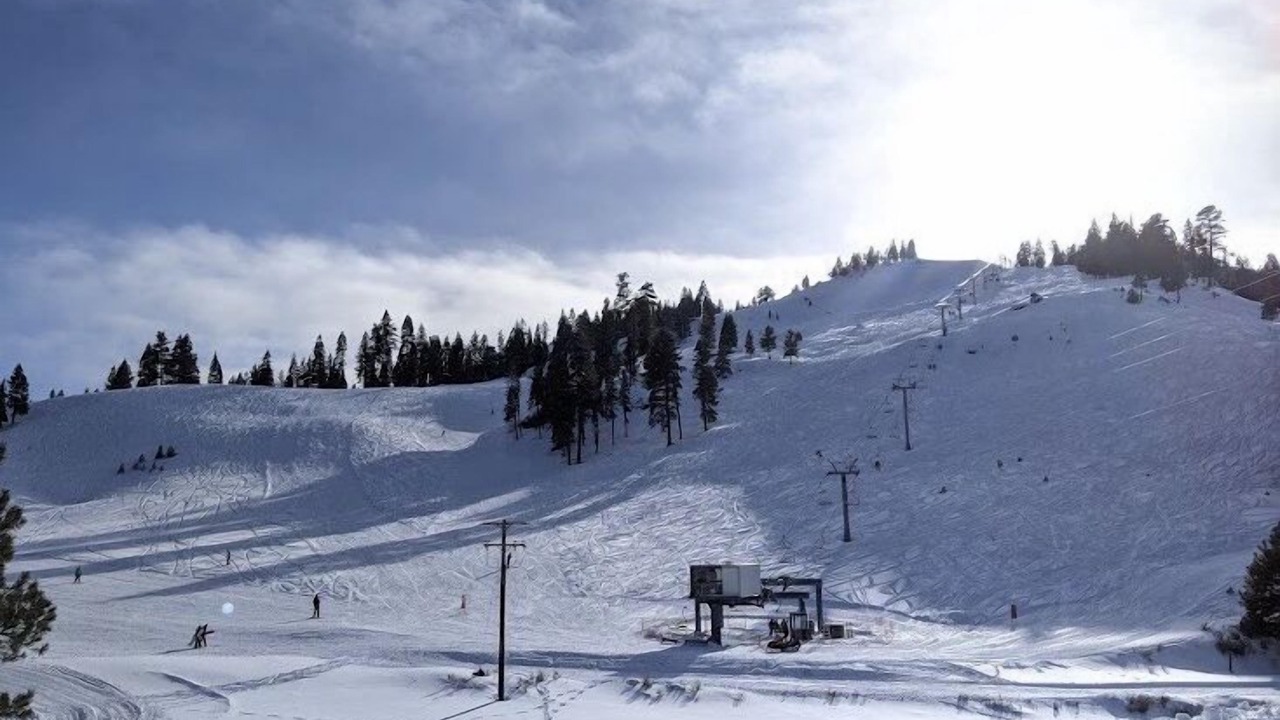 Photo of Others in Lakeview