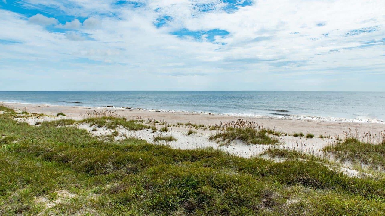 Photo of Others in Ocean Cay