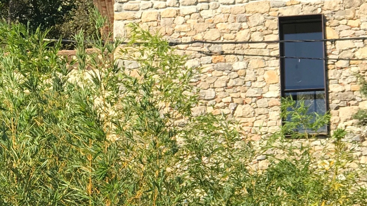 Photo of Outdoor in Fontjoncouse