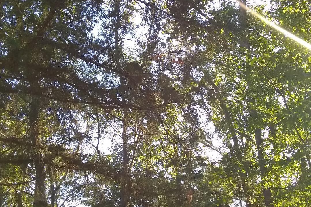 Photo of Outdoor in Canton