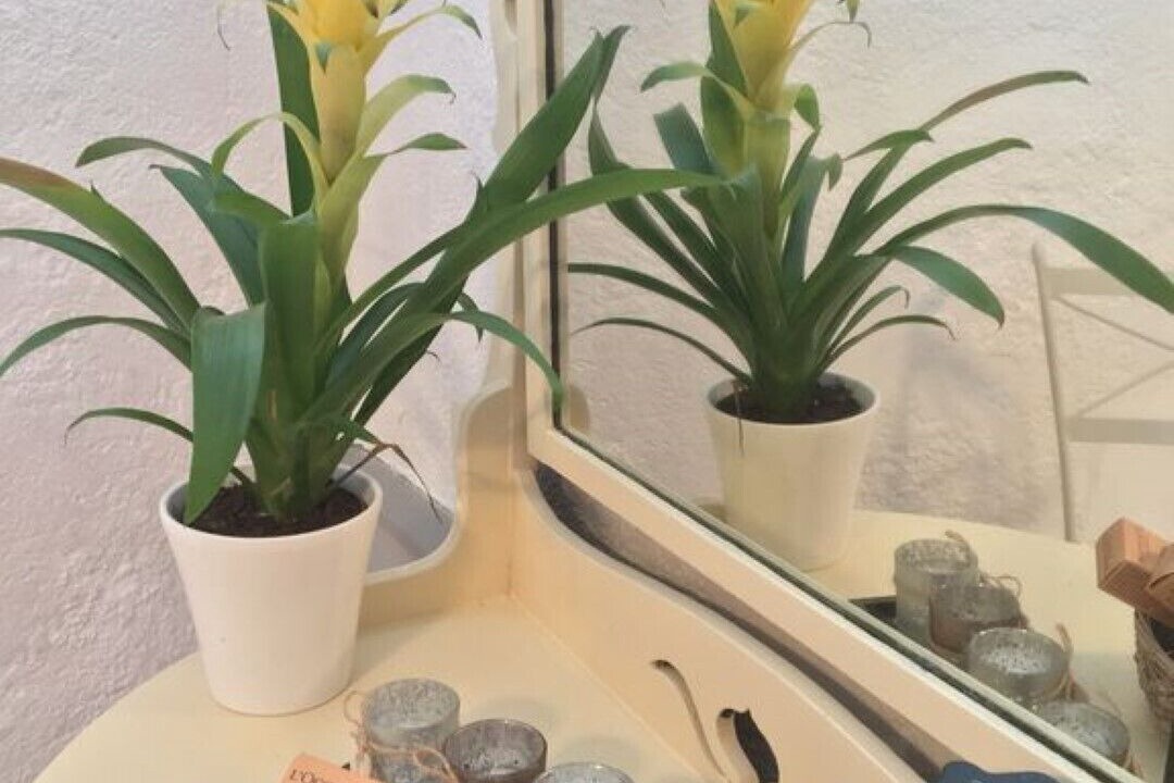 Photo of Others in Serigny