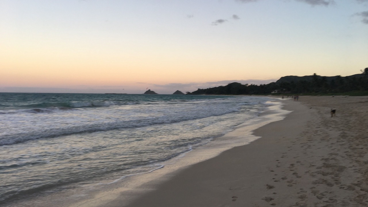 Photo of Others in Kalama Tract