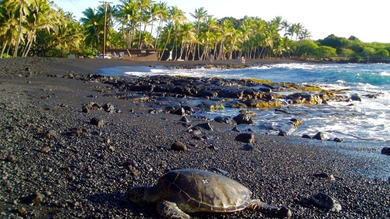 Photo of Others in Punaluu