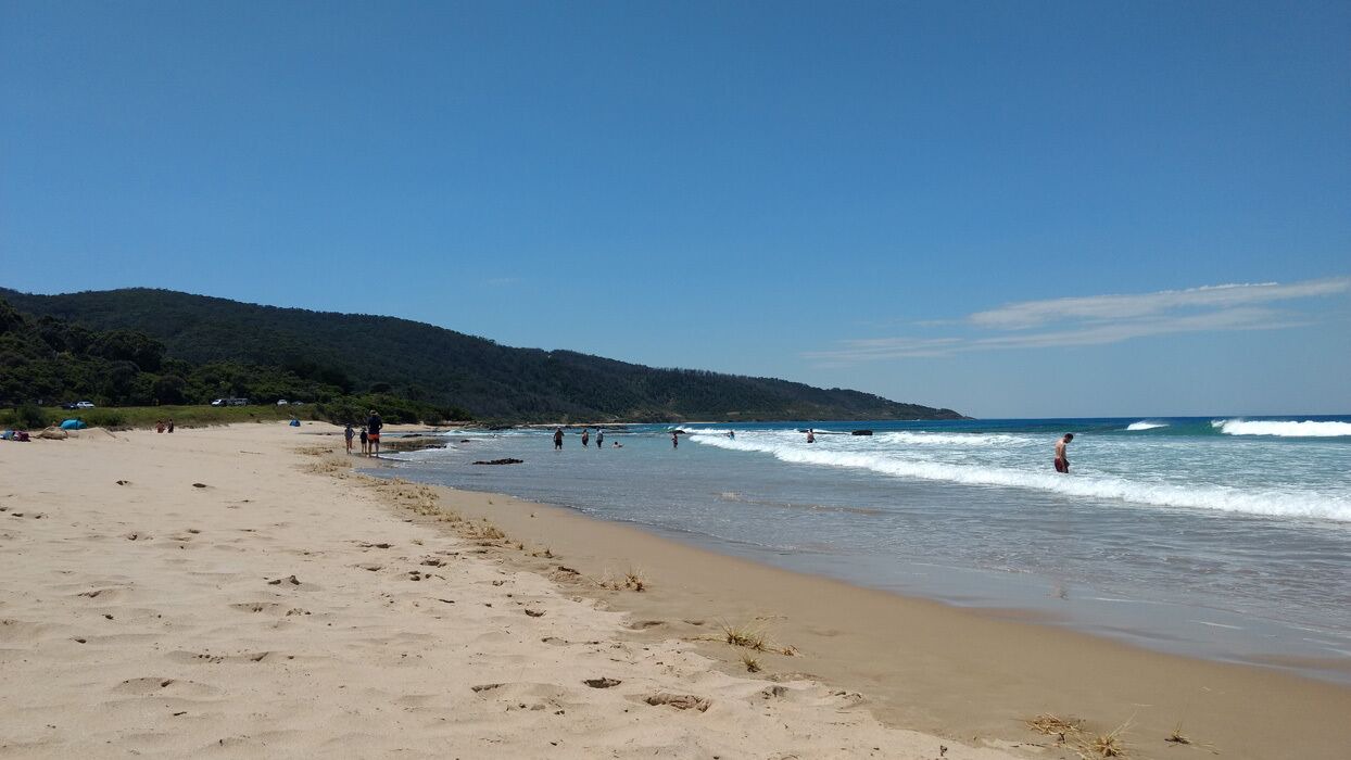 Photo of Others in Kennett River