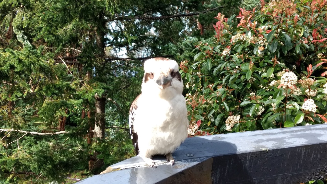 Photo of Outdoor in Kennett River