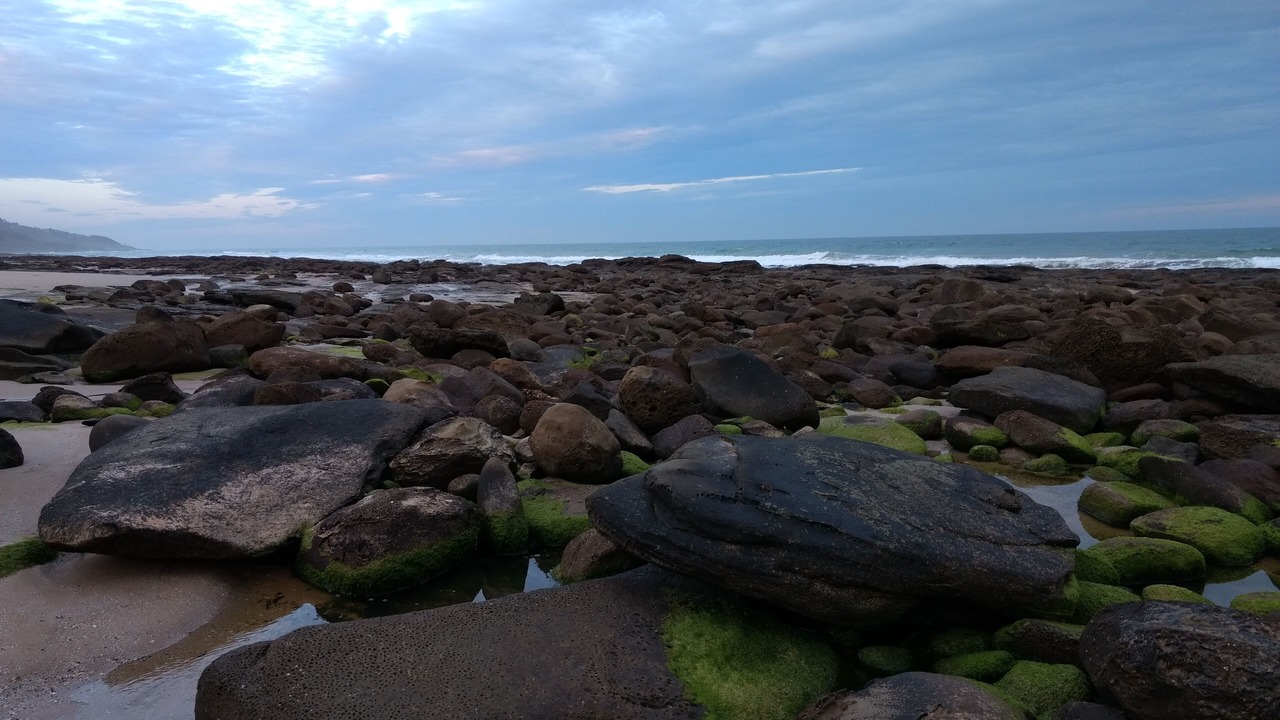 Photo of Others in Kennett River