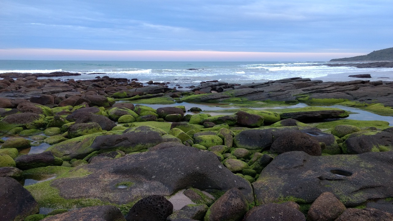 Photo of Others in Kennett River