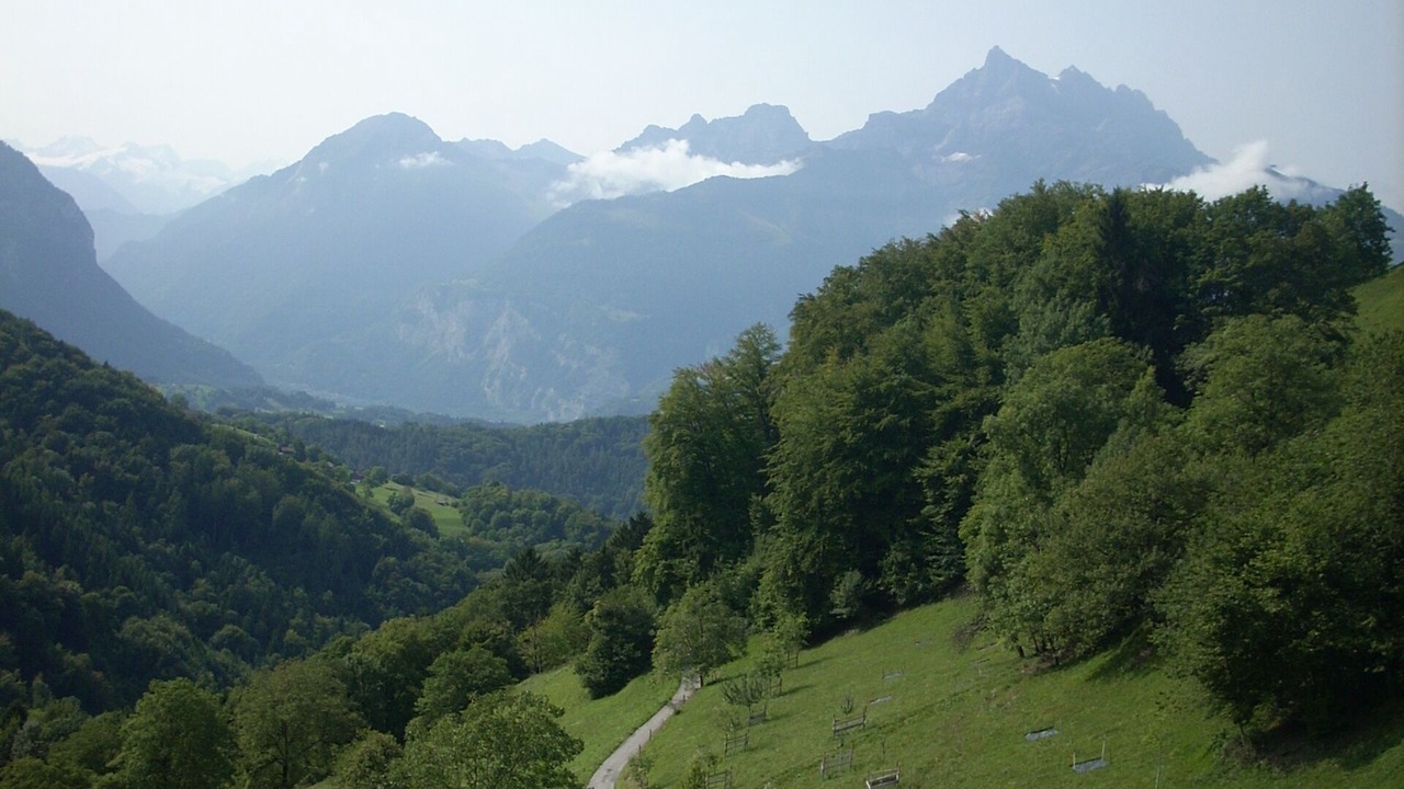 Photo of Others in Ollon