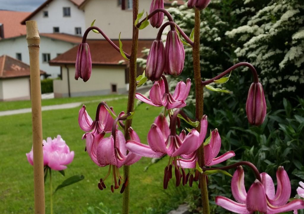 Photo of Outdoor in Les Breuleux