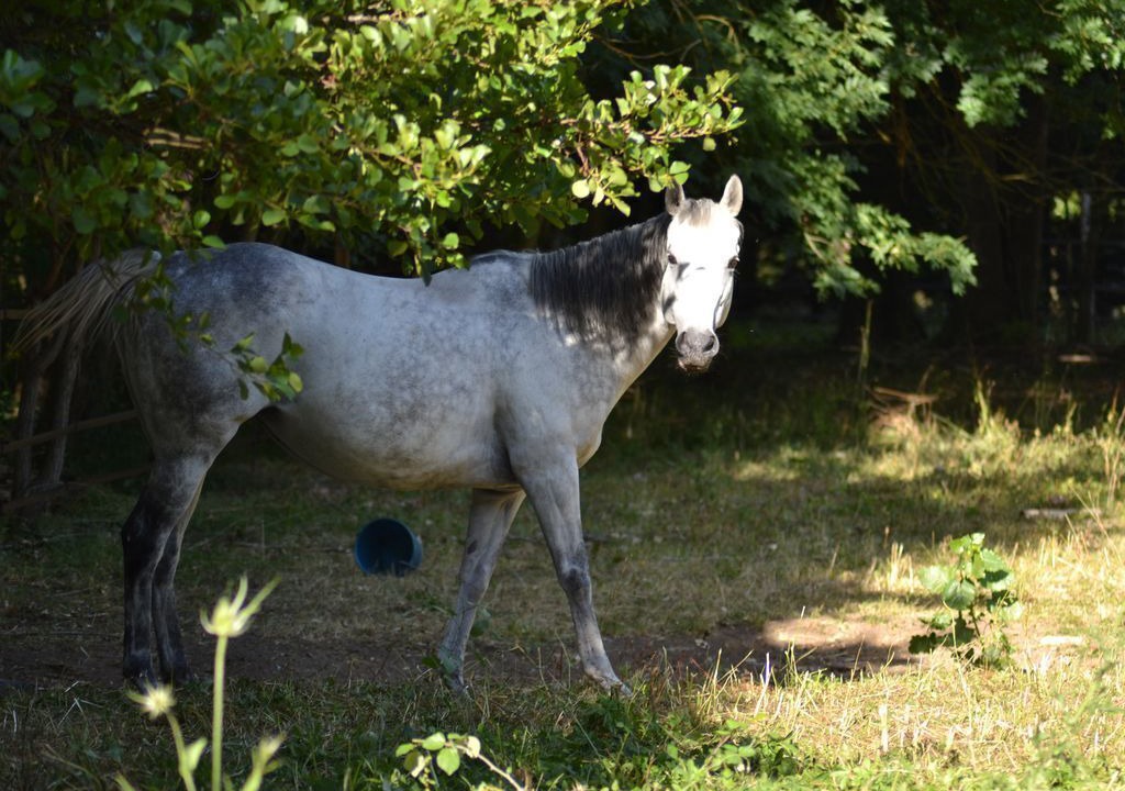 Photo of Outdoor in Bransles