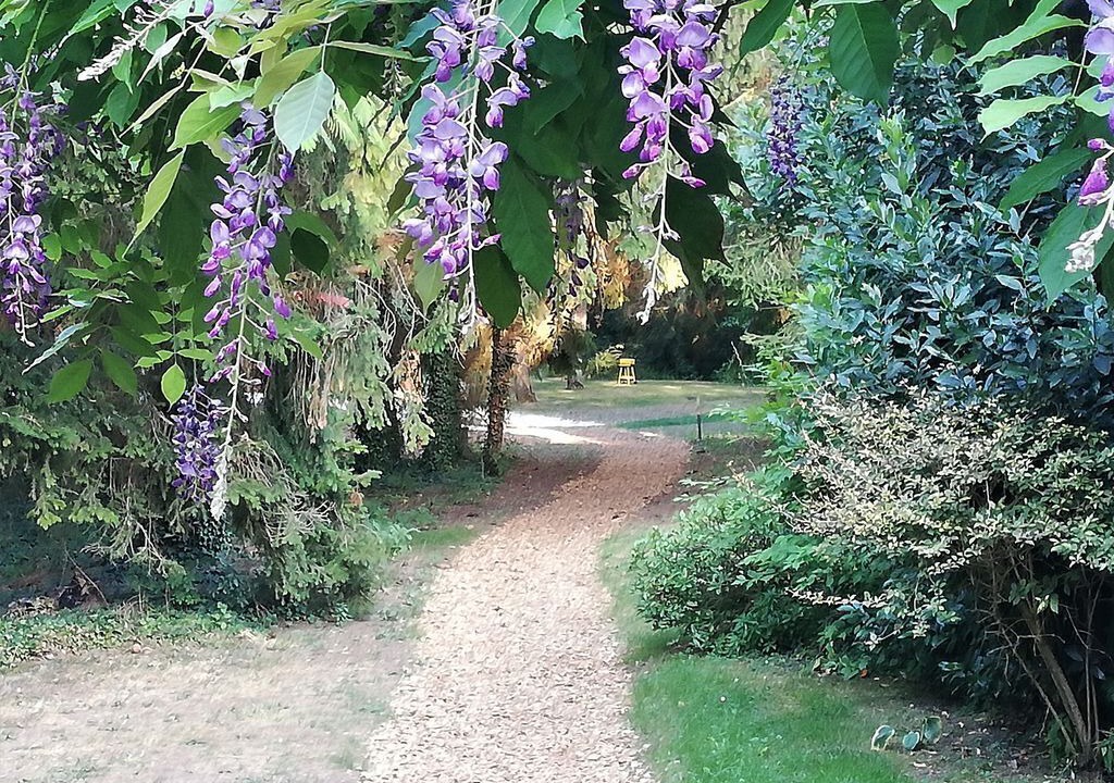 Photo of Outdoor in Bransles