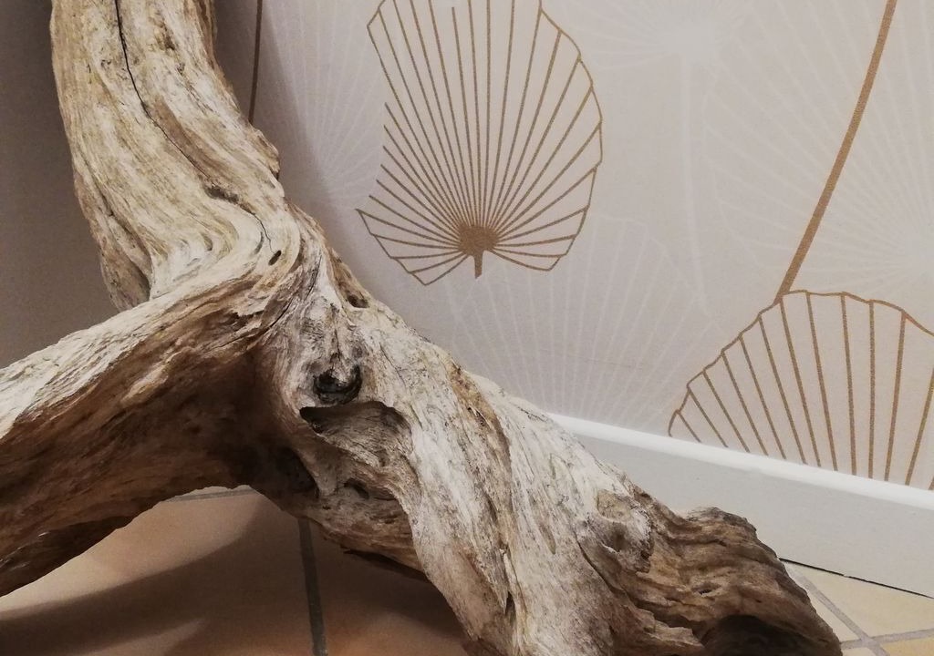 Photo of Others in Bransles