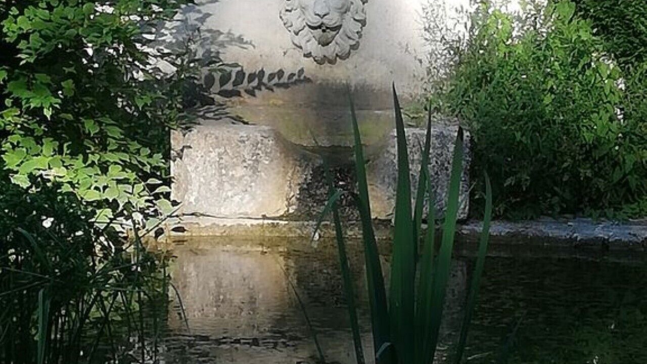 Photo of Outdoor in Bransles