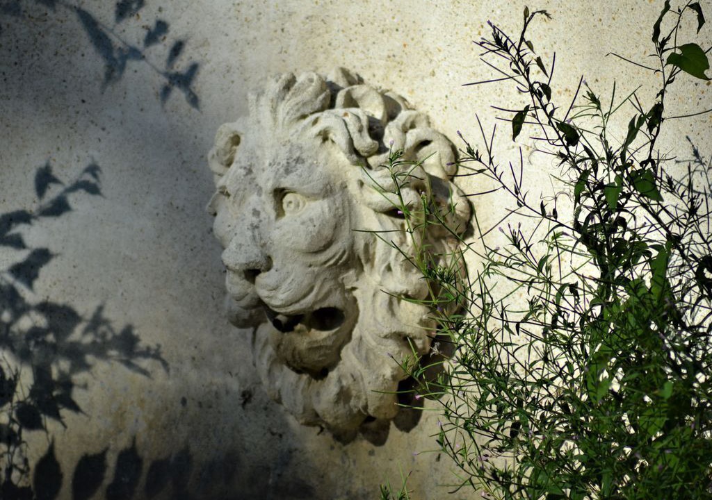 Photo of Outdoor in Bransles