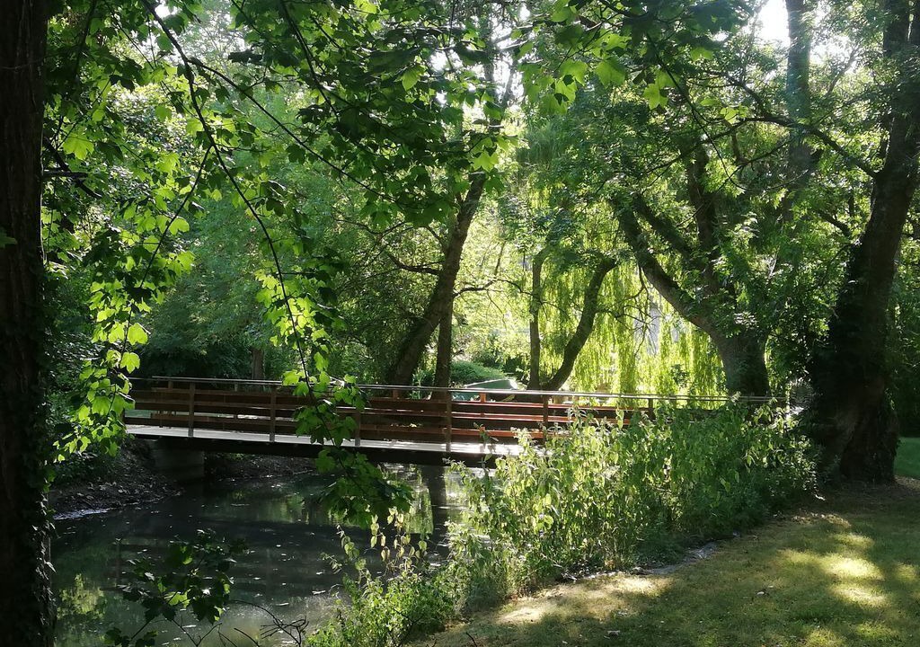 Photo of Outdoor in Bransles