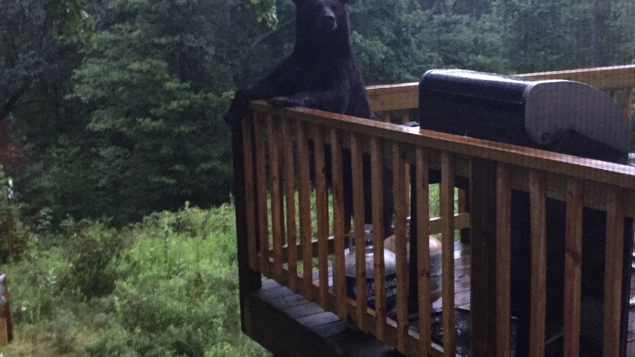 Photo of Others in Lock Haven