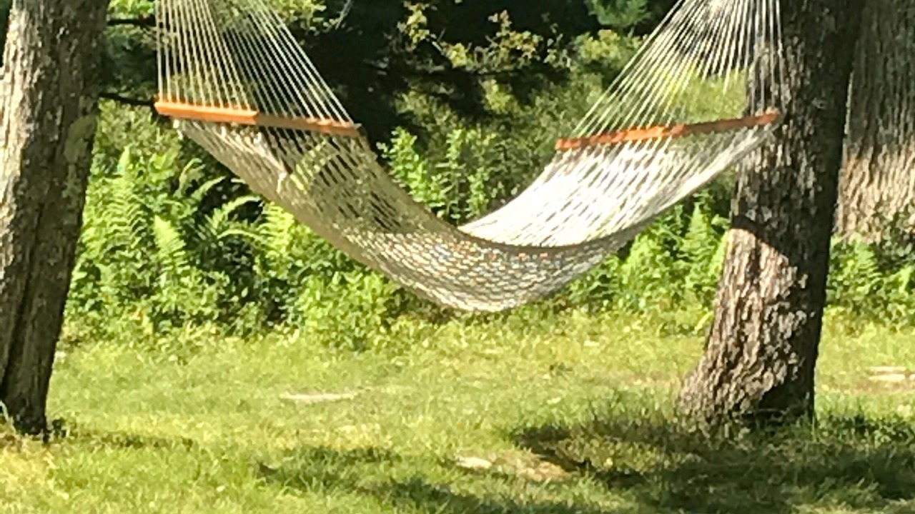 Photo of Others in Lock Haven